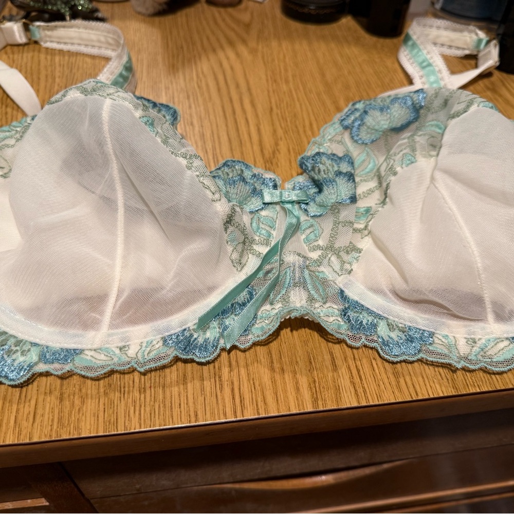 Elegant Sheer Lace Bra in White and green